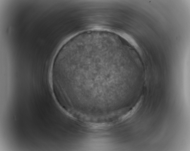 X0000088181247200705291945
