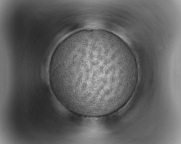 X0000088181248200705291945