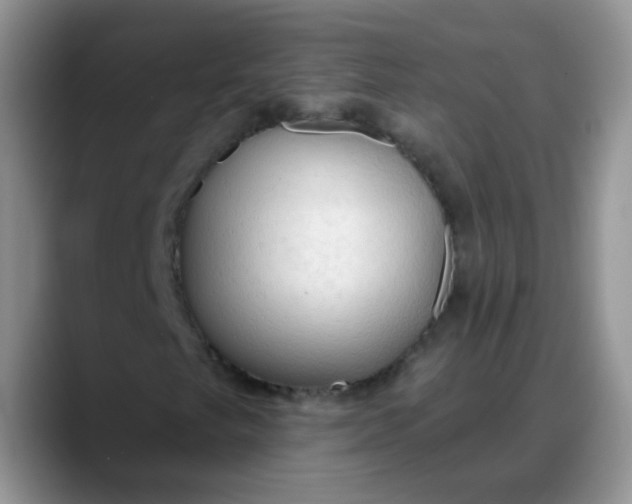 X0000088181249200705291945