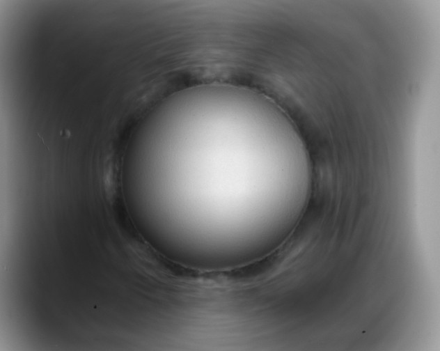 X0000088181250200705291945