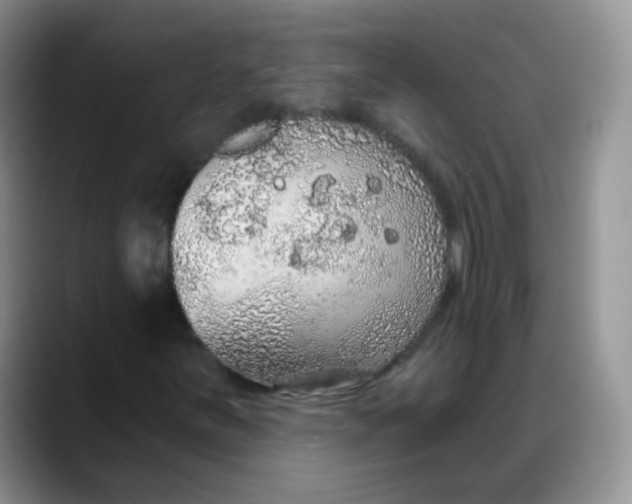 X0000088181251200705291945