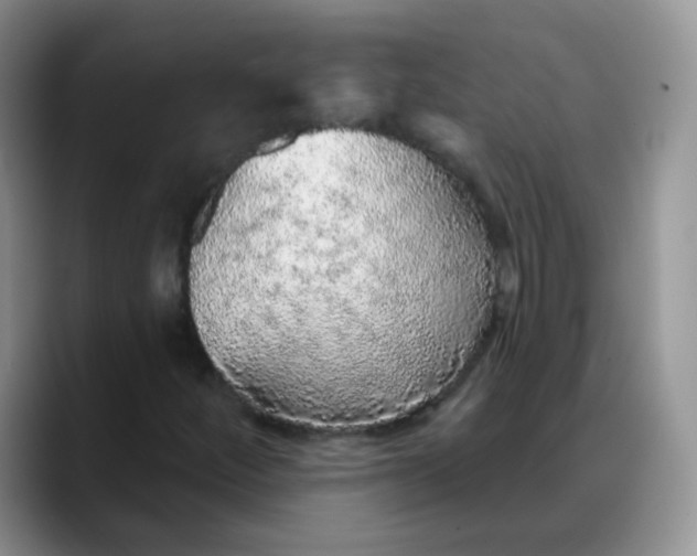 X0000088181252200705291945