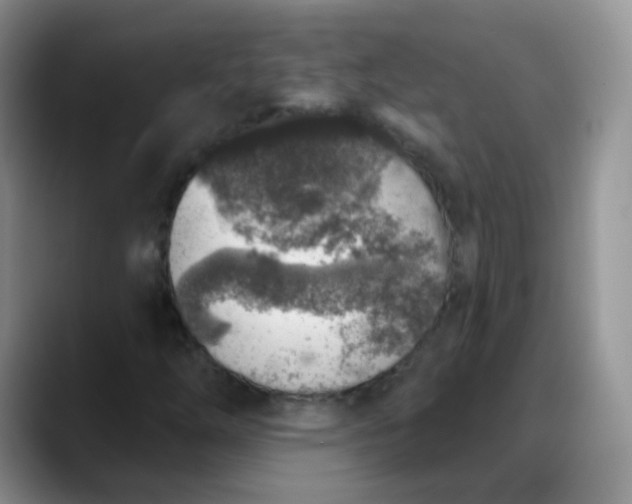 X0000088181254200705291945