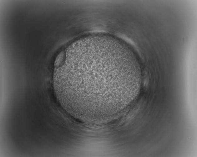 X0000088181255200705291945