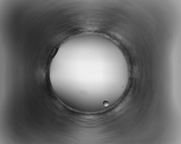 X0000088181257200705291945
