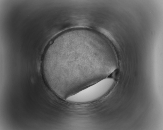X0000088181260200705291945