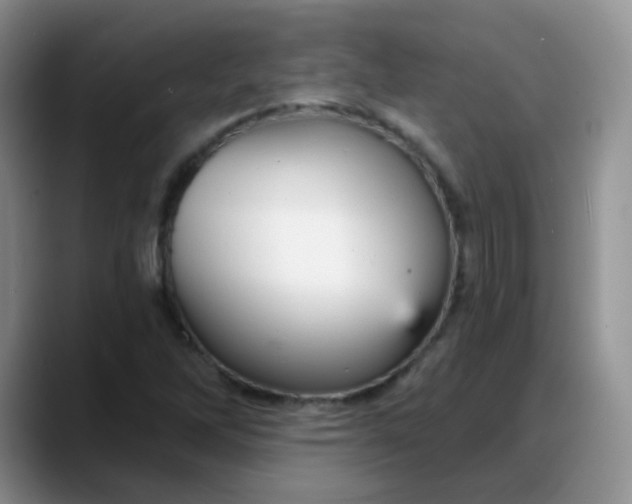 X0000088181262200705291945