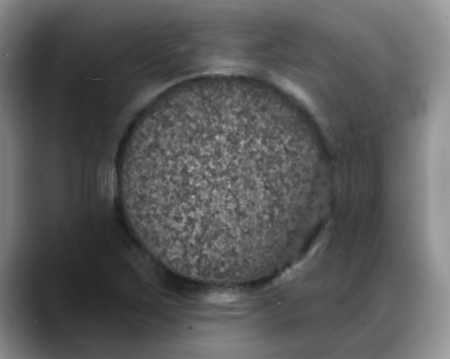 X0000088181267200705291945