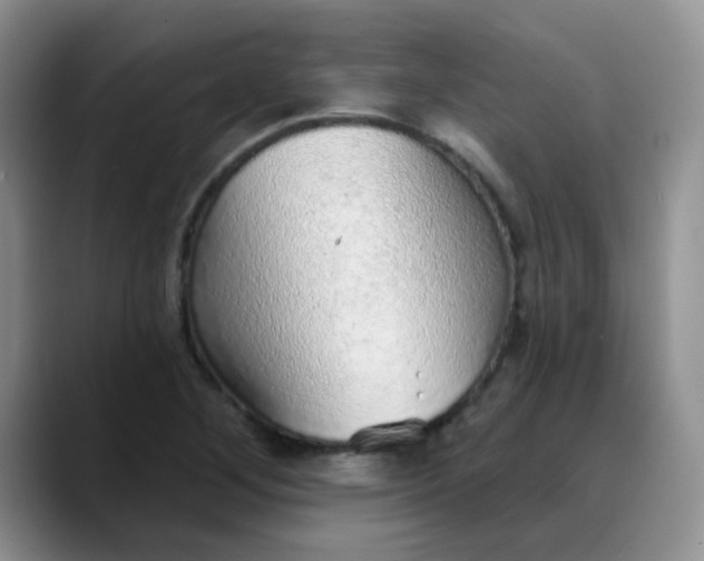 X0000088181268200705291945