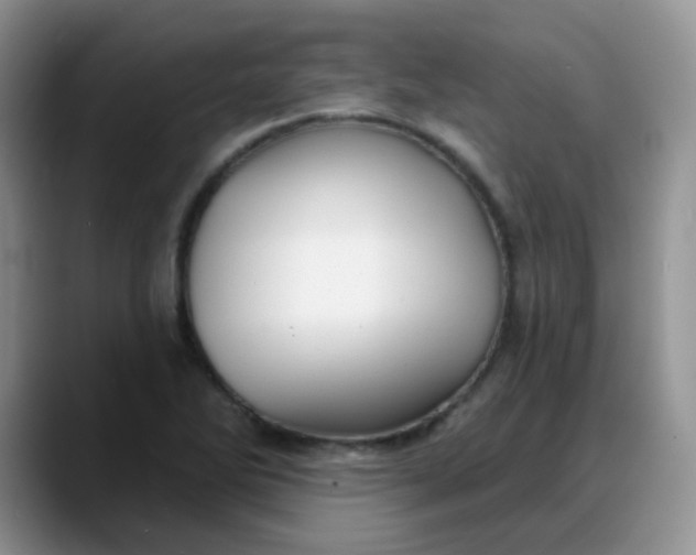 X0000088181270200705291944