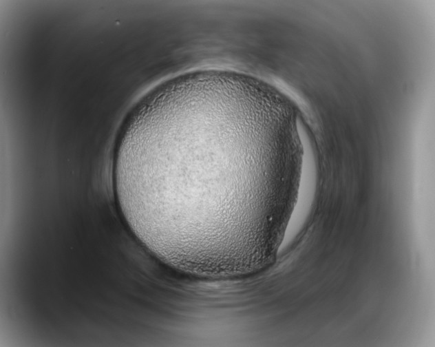 X0000088181272200705291944