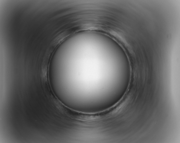 X0000088181273200705291944