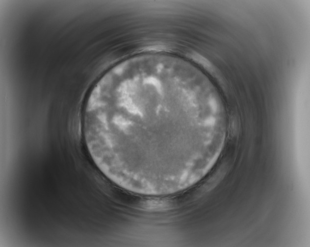 X0000088181274200705291944