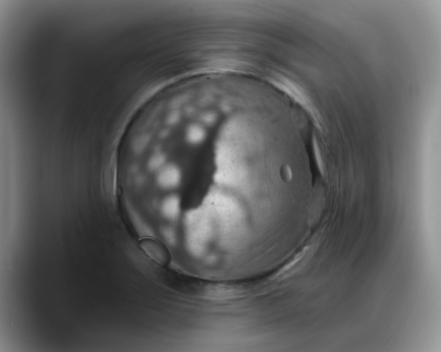 X0000088181275200705291944