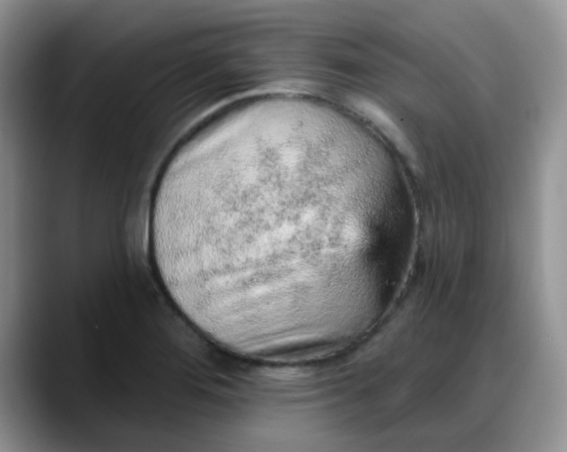 X0000088181276200705291944