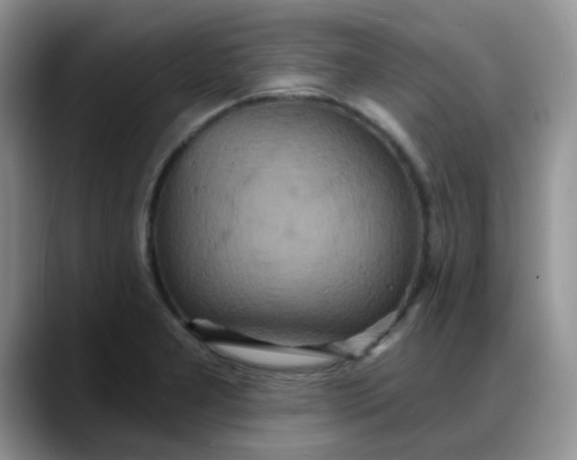 X0000088181277200705291944