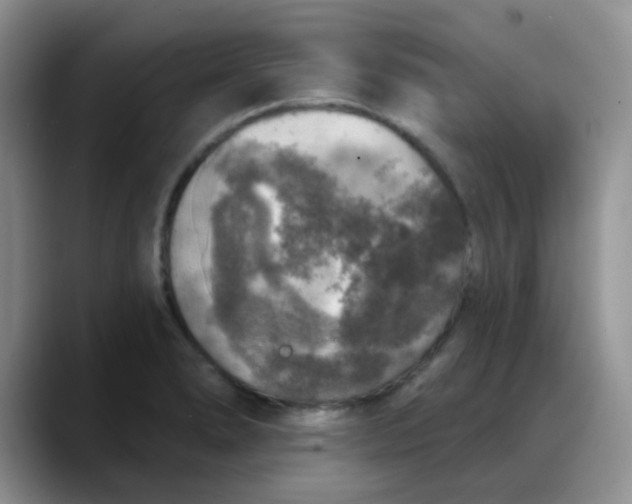 X0000088181278200705291944