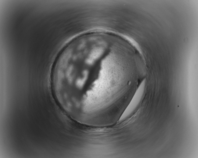 X0000088181279200705291944