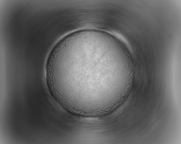 X0000088181280200705291944