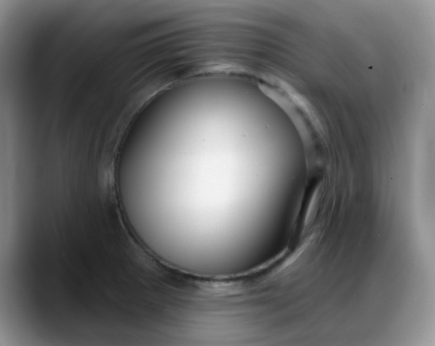 X0000088181281200705291944