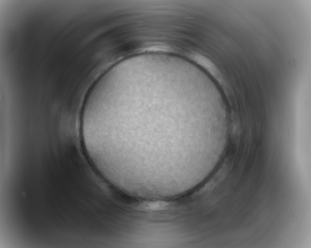 X0000088181282200705291944