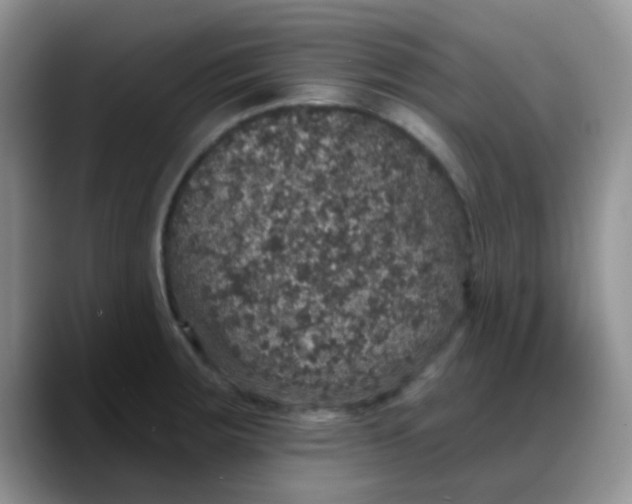 X0000088181283200705291944
