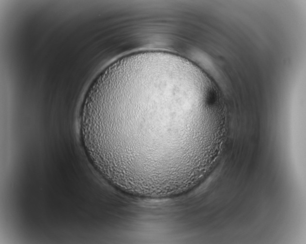 X0000088181284200705291944