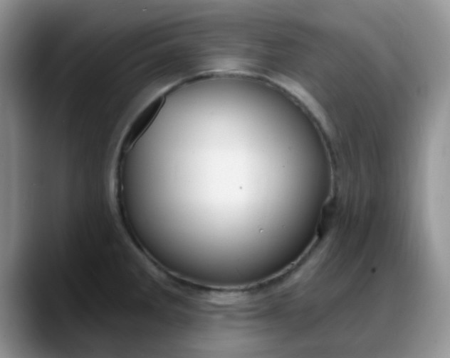 X0000088181285200705291944