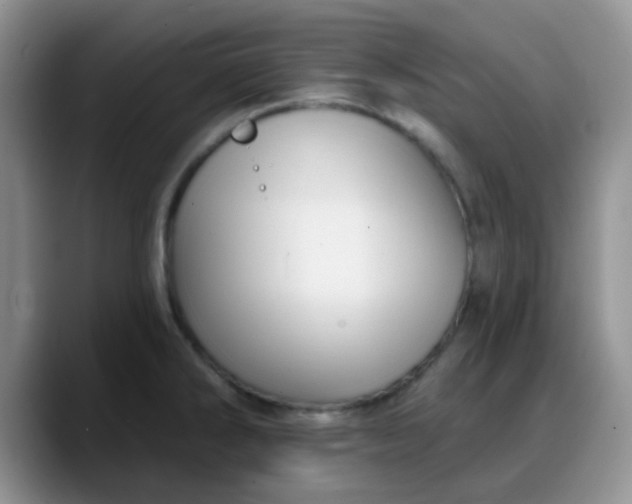 X0000088181286200705291944
