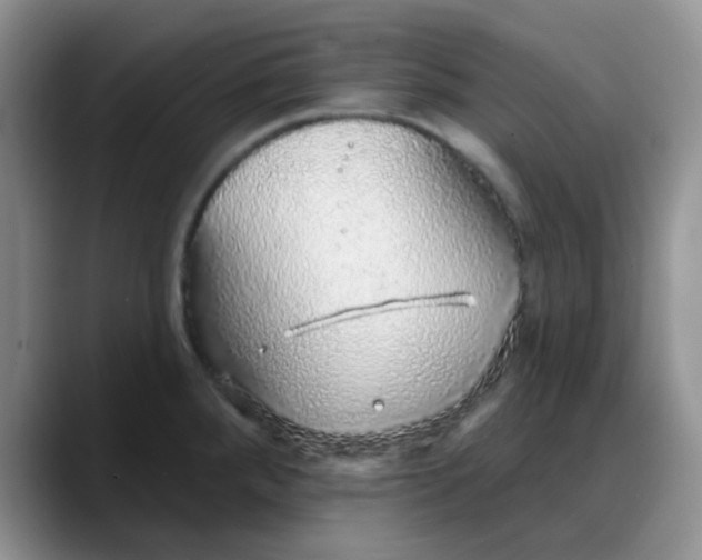 X0000088181288200705291944