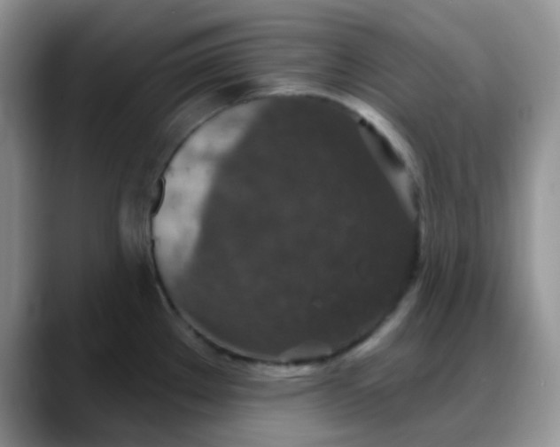 X0000088181289200705291944
