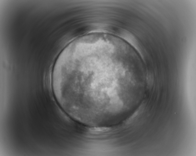 X0000088181290200705291944