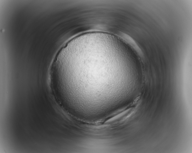X0000088181292200705291944