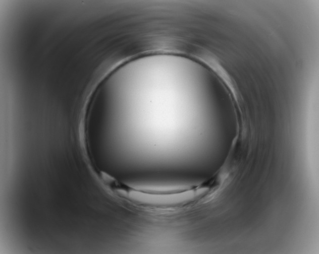 X0000088181293200705291944