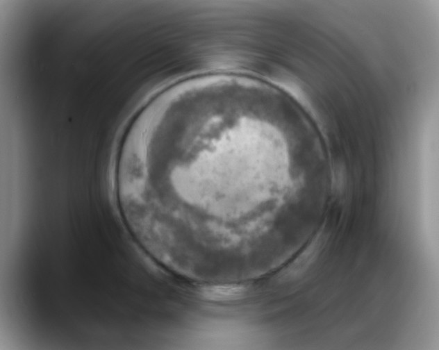 X0000088181294200705291944