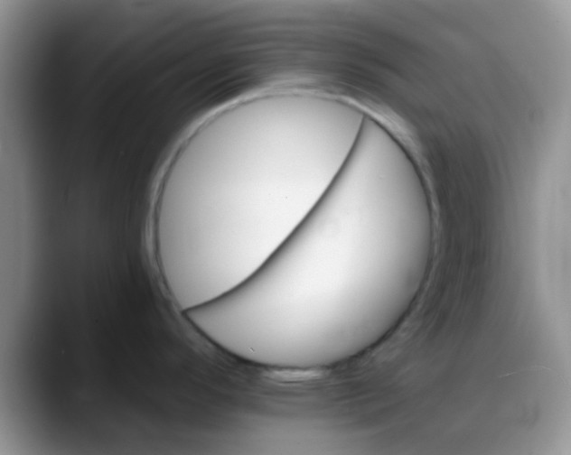 X0000088181296200705291944