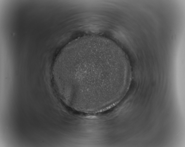 X0000088181297200705291944