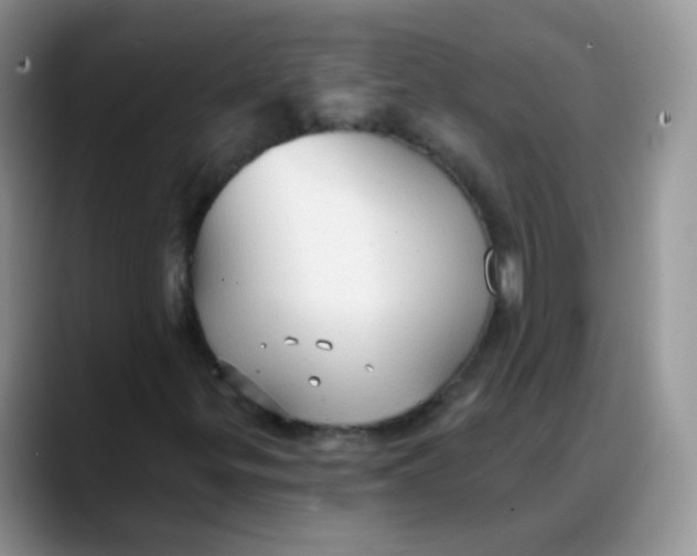 X0000088181299200705291944