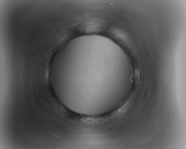 X0000088181300200705291944