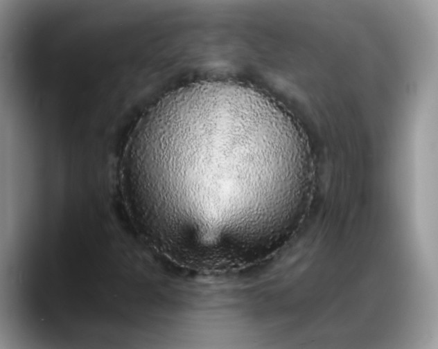 X0000088181301200705291944