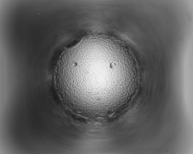 X0000088181302200705291944