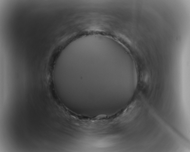 X0000088181303200705291944