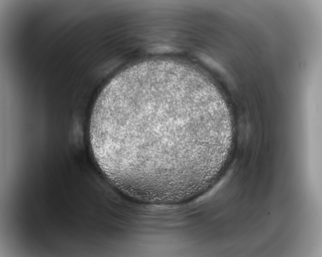 X0000088181305200705291944