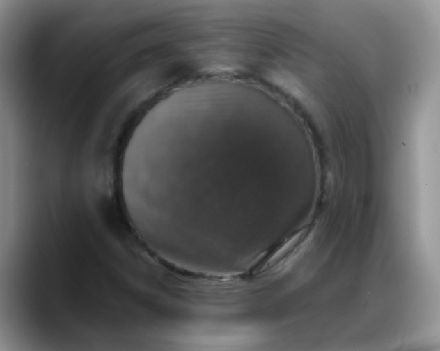 X0000088181306200705291944