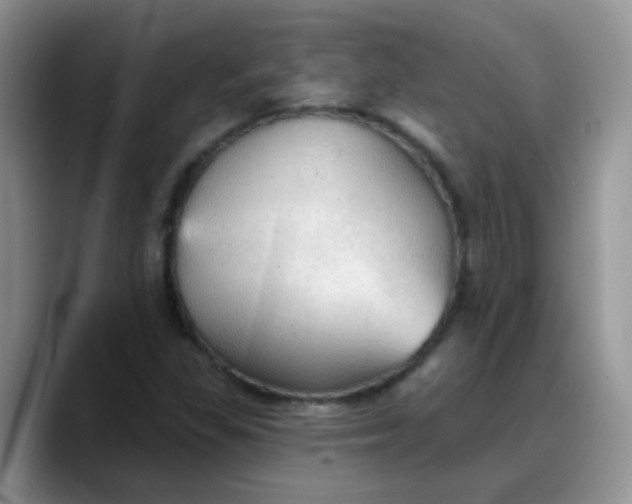 X0000088181309200705291944
