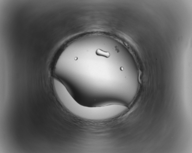 X0000088181310200705291944