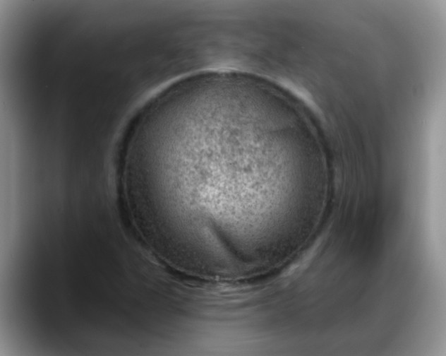X0000088181311200705291944