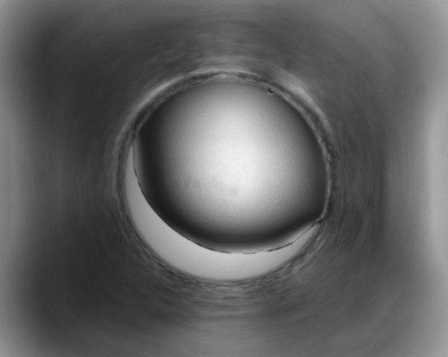 X0000088181312200705291944