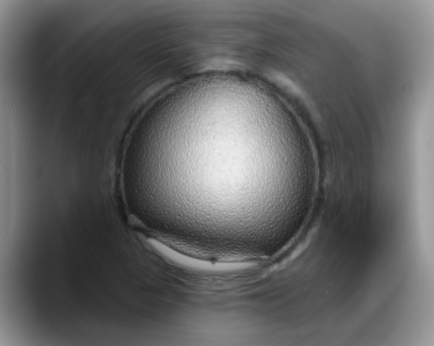 X0000088181313200705291944