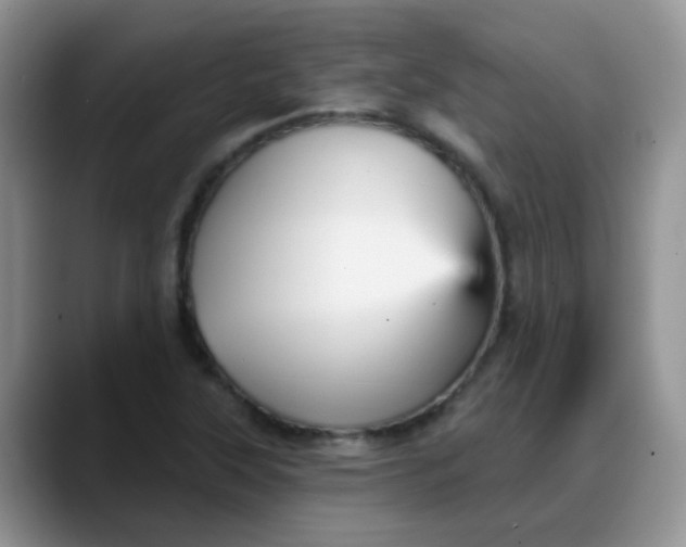 X0000088181315200705291944
